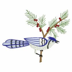 Winter Blue Jay 09(Md) machine embroidery designs
