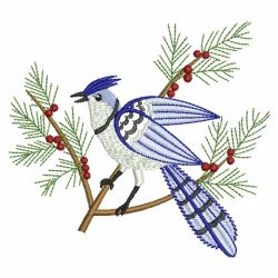 Winter Blue Jay 10(Sm) machine embroidery designs