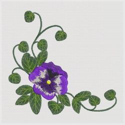 Pretty Pansy 10(Sm)