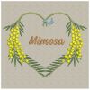 Mimosa 09(Lg)