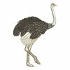 Ostrich