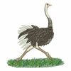 Ostrich 02