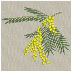 Mimosa 01(Md) machine embroidery designs