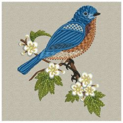 Missouri State Bird 01(Md) machine embroidery designs