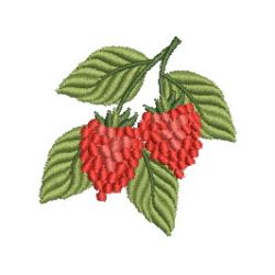 Raspberries 11(Md) machine embroidery designs