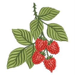 Raspberries 12(Sm) machine embroidery designs