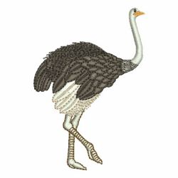 Ostrich machine embroidery designs