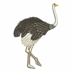 Ostrich 01 machine embroidery designs