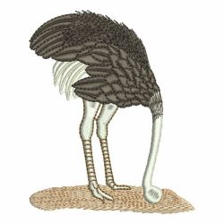 Ostrich 03 machine embroidery designs