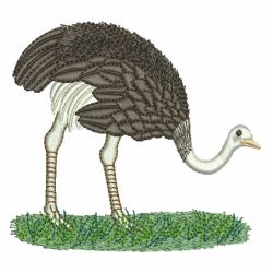 Ostrich 05 machine embroidery designs