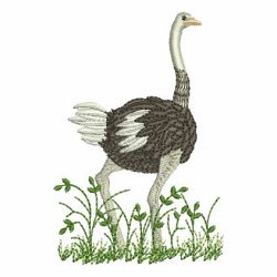 Ostrich 09 machine embroidery designs