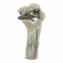 Ostrich 10 machine embroidery designs