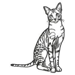 Cat Outlines(Lg) machine embroidery designs