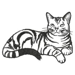 Cat Outlines 07(Sm) machine embroidery designs