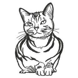 Cat Outlines 08(Sm) machine embroidery designs