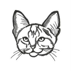 Cat Outlines 12(Md)