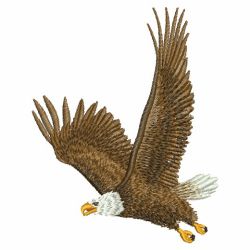 American Eagle 09(Md) machine embroidery designs