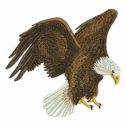 American Eagle 10(Sm) machine embroidery designs