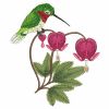 Hummingbirds & Flowers 08(Sm)