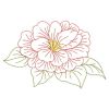 Vintage Camellia(Sm)