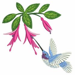 Hummingbirds & Flowers 02(Md)