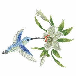 Hummingbirds & Flowers 06(Md)