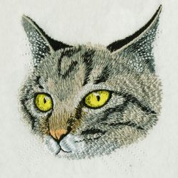 Kittens 2 07 machine embroidery designs