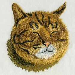 Kittens 2 08 machine embroidery designs