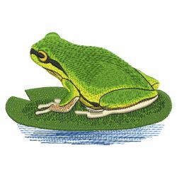 Frogs 05(Sm)