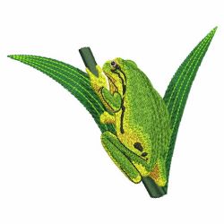 Frogs 10(Lg) machine embroidery designs