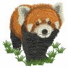 Red Panda 02(Lg)