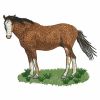 Realistic Horses(Lg)