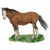 Realistic Horses(Sm)