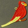 FSL Parrots 06