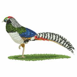 Pheasant machine embroidery designs