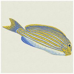 Water World 1 13(Md) machine embroidery designs