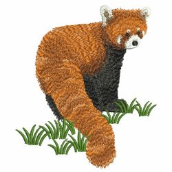 Red Panda 08(Sm) machine embroidery designs