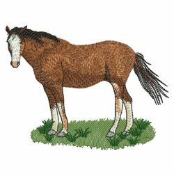 Realistic Horses 01(Sm) machine embroidery designs