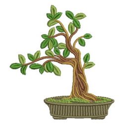 Bonsai Tree 03