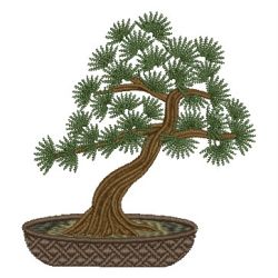 Bonsai Tree 06