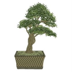 Bonsai Tree 07