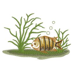 Vintage Tropical Fish 04(Sm) machine embroidery designs
