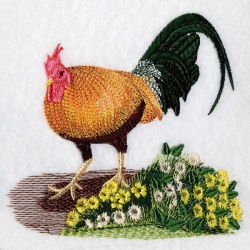 Roosters(Lg) machine embroidery designs