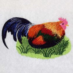 Roosters 06(Lg) machine embroidery designs
