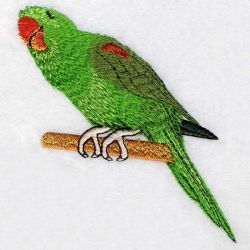 Asian Parakeet machine embroidery designs