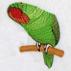 Asian Parakeet 03 machine embroidery designs