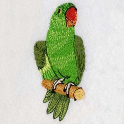 Asian Parakeet 04 machine embroidery designs