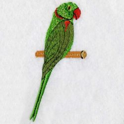 Asian Parakeet 05 machine embroidery designs
