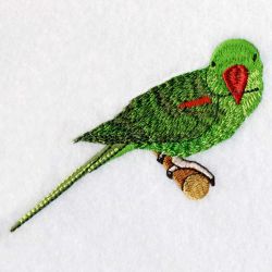 Asian Parakeet 06 machine embroidery designs