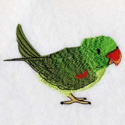Asian Parakeet 07 machine embroidery designs